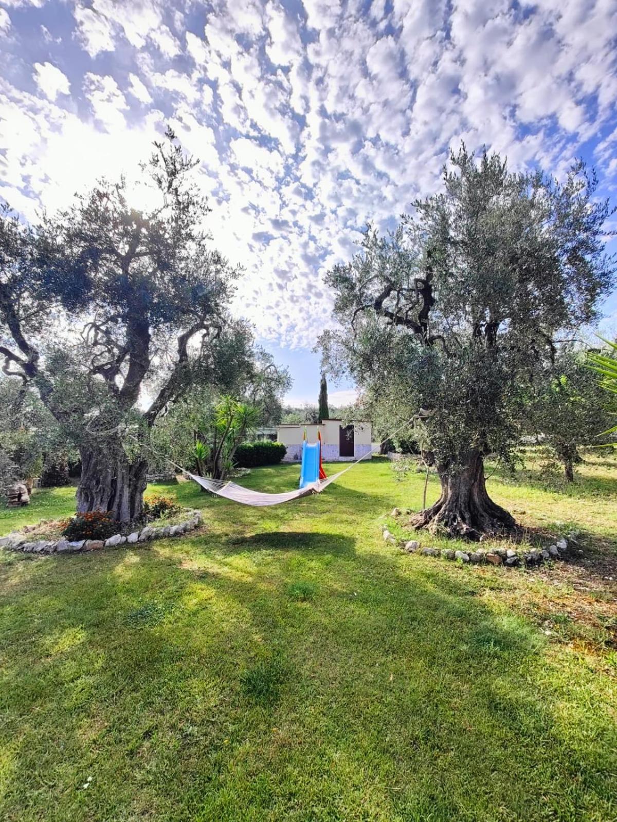 Villa Fenice Bed & Breakfast Vieste Eksteriør bilde